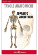 Tavole anatomiche - Apparato scheletrico